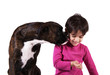 bimba con cane