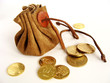 vintage money-bag and golden coins isolated on white