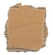 Torn Cardboard