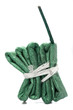 Knallfrosch