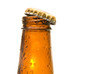 Beer Bottle