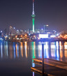 Auckland sky tower