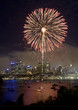 Sydney City Firework 2