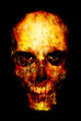 Illustration: Zombie Zombie