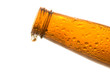 Beer Bottle