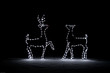 Courting Reindeer