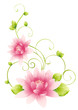 pink flower