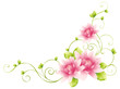 flower and vines