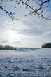 Winter sun