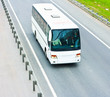 bus bus