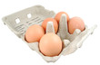 eggs in tray isolated on white background