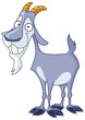 Smiley billy goat Smiley billy goat
