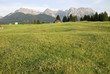 Mountain pasture
