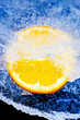 Orange on ice