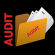 Audit Folder Icon