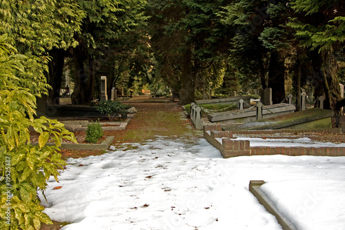 Photo: graveyard graveyard