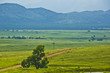 San Rafael Valley Road. San Rafael Valley Road.