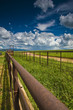 Corral Area with steel fences. Corral Area with steel fences.