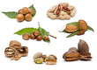 Colección de frutos secos variados.