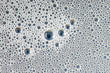 soap foam bubble