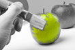 Apfel anmalen