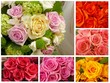 Bouquets de roses