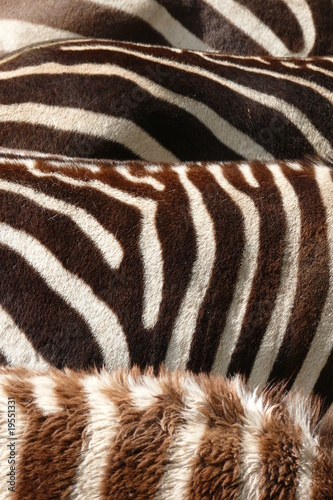 Foto: Zebrastreifen Zebrastreifen