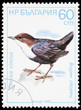 Bird on a postage stamp Bird on a postage stamp