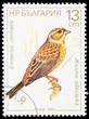 Bird on a postage stamp Bird on a postage stamp