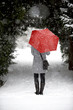 Frau in einer Winterlandschaft Frau in einer Winterlandschaft