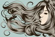 Woman's face with detailed hair Woman's face with detailed hair