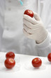 Scientist injecting tomato
