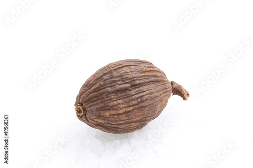Black cardamom / 草果