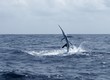 Sailfish saltwater sport fishing jumping