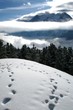 trekking in inverno