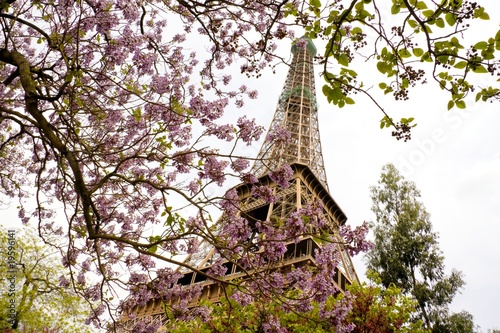 Photo: Floraison au pied de la tour Eiffel Floraison au pied de la tour Eiffel