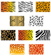 Animal fur and skin