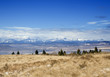 Rocky mountains and plains in Canada
