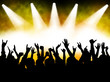 Concert crowd