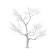 Tree.
