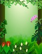Forest view