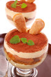 tiramisu dessert tiramisu dessert