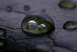 Goccia d'acqua