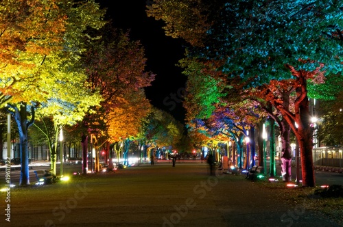 Foto: Unter den Linden bei Nacht Unter den Linden bei Nacht