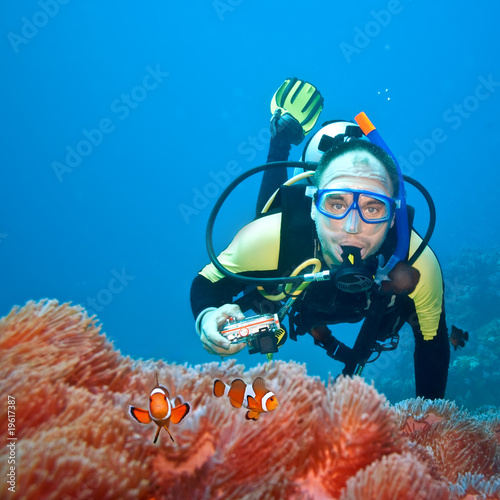 Photo: Clownfishes and photographer Clownfishes and photographer