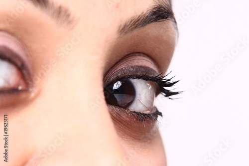 Photo: beautiful brown eye beautiful brown eye