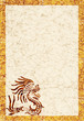 American Indian national patterns