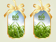 ecology concept