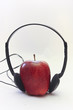 radio natura radio natura