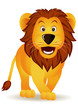 Funny lion isolated Funny lion isolated